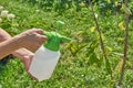 Farmer sprays pesticide with manual sprayer against insects on cherry tree in garden in summer. Agriculture and gardening concept
