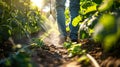 The farmer spraying plants.AI generated image Royalty Free Stock Photo