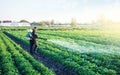 A farmer sprays a potato plantation with pesticides. Protecting against insect plants and fungal infections. Agriculture