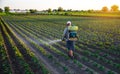 Farmer sprays a potato plantation with a sprayer. Chemical treatment. Mist sprayer, fungicide and pesticide. Effective crop