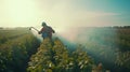 farmer sprays a potato plantation with a sprayer chemical treatment. mist sprayer, fungicide and pesticide. effective crop