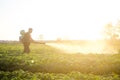 A farmer sprays a solution of copper sulfate on plants of potato bushes. Agriculture and agribusiness, agricultural industry. Royalty Free Stock Photo