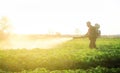 A farmer sprays a solution of copper sulfate on plants of potato bushes. Use chemicals in agriculture. Agriculture and Royalty Free Stock Photo