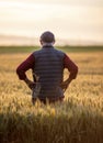 Farmer standing in golden wheat field at sunset Royalty Free Stock Photo