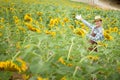 Farmer standing happy in a sunflower field, looking at the crop Royalty Free Stock Photo