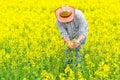 Farmer Standing in Oilseed Rapeseed Cultivated Agricultural Field