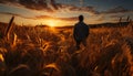 A farmer standing in wheat field, enjoying nature beauty generated by AI Royalty Free Stock Photo