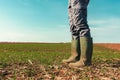 Farmer standing in wheat sprouting field Royalty Free Stock Photo