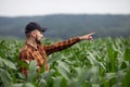 The farmer stands in the middle of a corn field and points to the distance Royalty Free Stock Photo