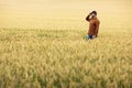 A farmer stands in the middle of a golden wheat field and inspects ears of wheat. Harvest concept Royalty Free Stock Photo
