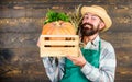 Farmer straw hat deliver fresh vegetables. Fresh vegetables delivery service. Fresh organic vegetables box. Man cheerful Royalty Free Stock Photo