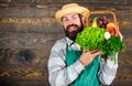 Farmer straw hat deliver fresh vegetables. Farmer with homegrown vegetables in basket. Man bearded farmer presenting eco Royalty Free Stock Photo