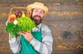 Farmer straw hat deliver fresh vegetables. Farmer with homegrown vegetables in basket. Man bearded farmer presenting eco Royalty Free Stock Photo