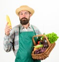 Farmer straw hat hold corncob and basket vegetables. Fresh organic vegetables wicker basket. Hipster gardener wear apron Royalty Free Stock Photo