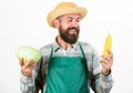 Farmer straw hat hold corncob cabbage vegetable. Man bearded presenting corncob maize and cabbage white background