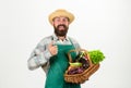 Farmer straw hat hold eggplant and basket vegetables. Fresh organic vegetables wicker basket. Man bearded presenting Royalty Free Stock Photo