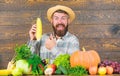 Farmer straw hat presenting fresh vegetables. Farmer with homegrown harvest. Farmer rustic villager appearance. Grow Royalty Free Stock Photo