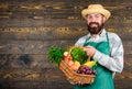 Farmer straw hat presenting fresh vegetables. Farmer with homegrown vegetables in basket. Man bearded farmer presenting Royalty Free Stock Photo