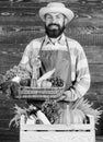 Farmer straw hat presenting fresh vegetables. Farmer with homegrown vegetables. Fresh organic vegetables in wicker Royalty Free Stock Photo