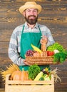 Farmer straw hat presenting fresh vegetables. Farmer with homegrown vegetables. Fresh organic vegetables in wicker Royalty Free Stock Photo