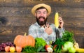 Farmer straw hat presenting fresh vegetables. Farmer with homegrown harvest. Farmer rustic villager appearance. Grow Royalty Free Stock Photo