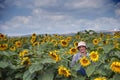 Farmer in sunflower field Royalty Free Stock Photo