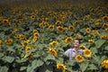 Farmer in sunflower field Royalty Free Stock Photo