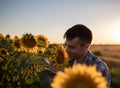 Farmer in sunflower field at sunset Royalty Free Stock Photo