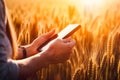 Farmer with a tablet computer in front of a sunset agricultural landscape. Neural network AI generated Royalty Free Stock Photo