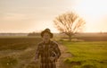Farmer with tablet in field at sunset Royalty Free Stock Photo