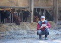 Farmer with tablet in front of cows Royalty Free Stock Photo
