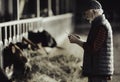 Farmer with tablet in front of cows Royalty Free Stock Photo