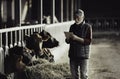 Farmer with tablet in front of cows Royalty Free Stock Photo