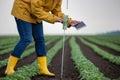 Farmer with tablet and rain gauge in field Royalty Free Stock Photo