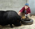 Farmer taking care of a pig Royalty Free Stock Photo