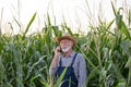 Farmer talking on phone in corn field Royalty Free Stock Photo