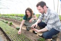 Farmer teaching new employee to gardening