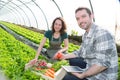 Farmer teaching new employee to gardening