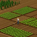 A farmer is tending to organized rectangular plots of lush green crops in a neatly Royalty Free Stock Photo