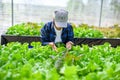 Farmer tending to rows of vegetables in a greenhouse on a rooftop farm