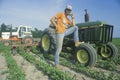 Farmer tending to soybeans by a tractor