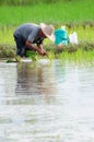 Farmer