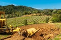 Farmer tills the soil with the crawler tractor. Agriculture Royalty Free Stock Photo