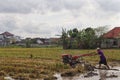 A farmer is tiring a rice field