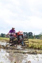 A farmer is tiring a rice field