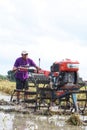 A farmer is tiring a rice field