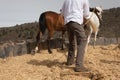 The farmer to crush wheat separating the wheat from the chaff Royalty Free Stock Photo