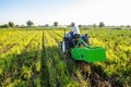 A farmer on a tractor with an aggregate of equipment for digging out potato. Farming and farmland. Countryside. Food production.