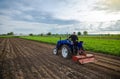 Farmer on tractor cultivates farm field. Milling soil, crumbling ground before cutting rows. Farming, agriculture. Loosening
