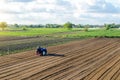 A farmer on a tractor cultivates a field. Land cultivation. Seasonal worker. Recruiting and hiring employees for work in a farm